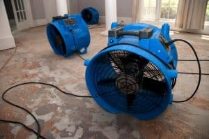 sewage water damage recovery process